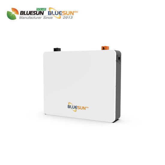 Bluesun Wall Mounted 51.2V 200A Lithium Battery Bluesun Wall Mounted 51.2V 200A Lithium Battery